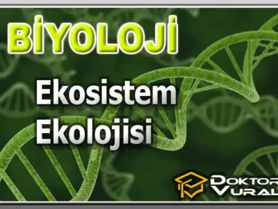 Instructor 13 course thumbnail