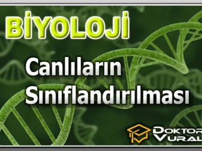 course thumbnail