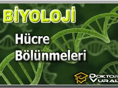 Instructor 14 course thumbnail