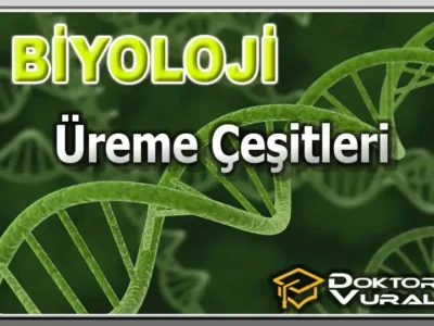 Instructor 6 course thumbnail