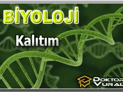 Instructor 4 course thumbnail