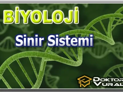 Instructor 12 course thumbnail