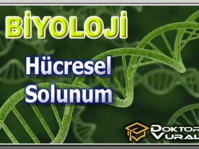 Instructor 14 course thumbnail