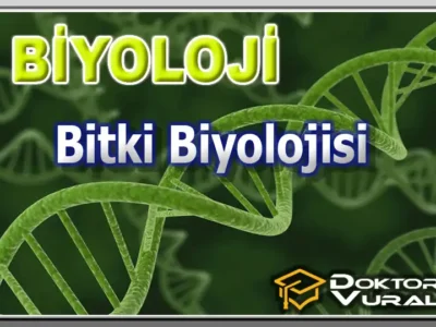 Instructor 4 course thumbnail