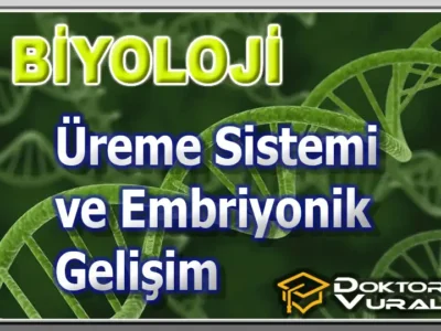 Instructor 3 course thumbnail