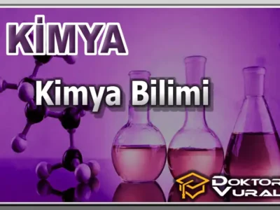 Instructor 11 course thumbnail