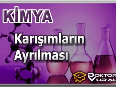 Instructor 10 course thumbnail