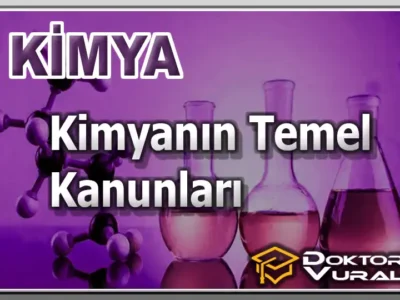 Instructor 5 course thumbnail