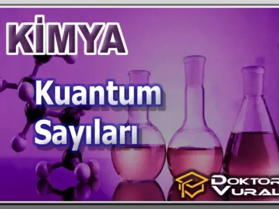 course thumbnail