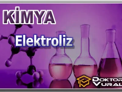 Instructor 7 course thumbnail