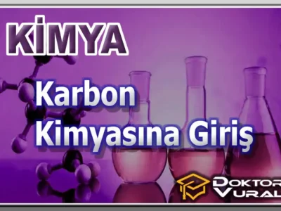 Instructor 6 course thumbnail