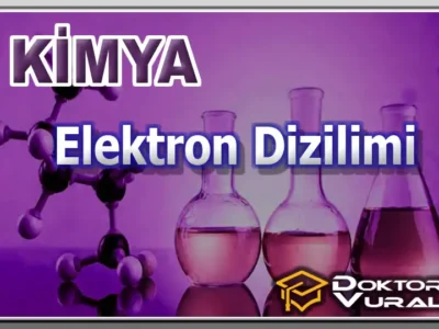 Instructor 7 course thumbnail