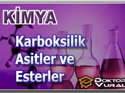 Instructor 8 course thumbnail