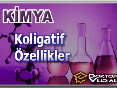 Instructor 3 course thumbnail