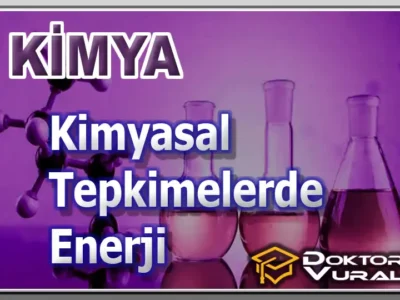 course thumbnail