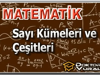 Instructor 5 course thumbnail