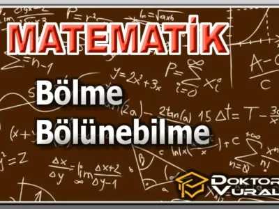 Instructor 12 course thumbnail