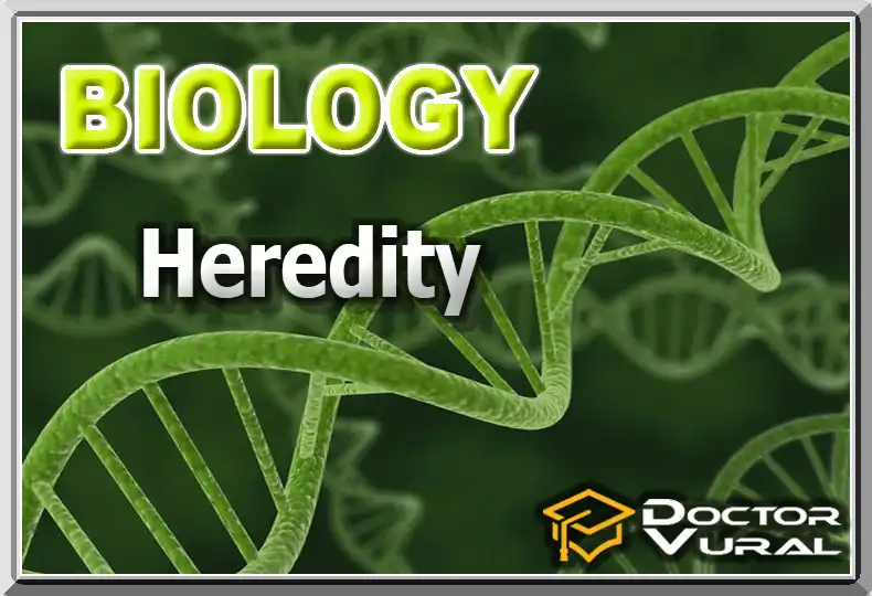 biyoloji_7_en biyoloji_7_en