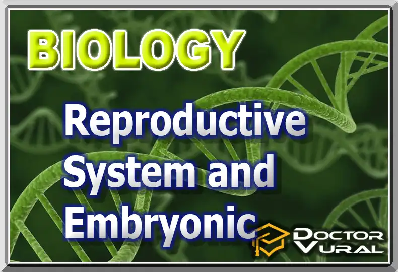 biyolojiayt_11_en biyolojiayt_11_en