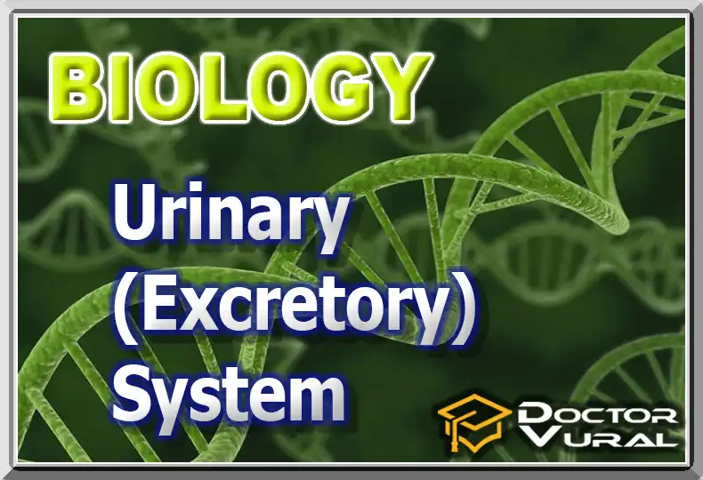 biyolojiayt_15_en biyolojiayt_15_en