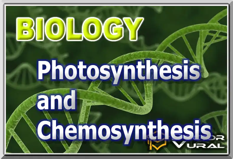 biyolojiayt_9_en biyolojiayt_9_en